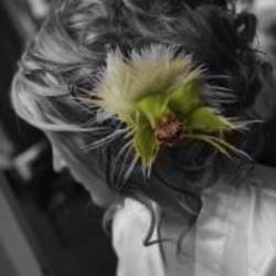 Re sized avatar 1345705668 200x200