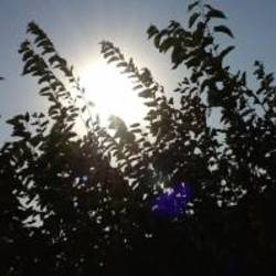 Re sized avatar 1346244653 200x200