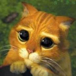 Re sized avatar 1346795969 200x200