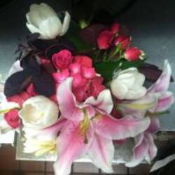 Re sized avatar 1352299149 200x200