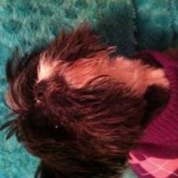 Re sized avatar 1358877831 200x200