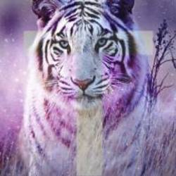 Re sized avatar 1362467366 200x200