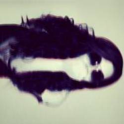Re sized avatar 1366068607 200x200