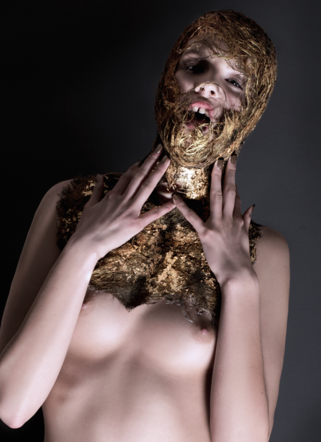 Gilded Lilly