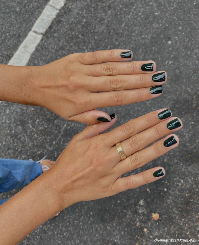 Re sized b0d69a8d843207c51da1 green