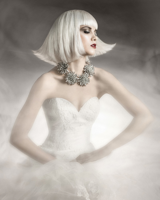NAHA 2014 Finalist - Hair Stylist of the Year