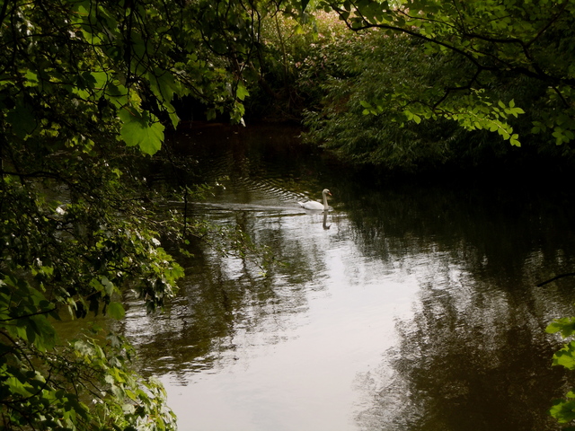 DSCN3093