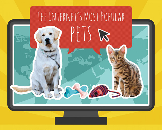 Most-Popular-Pets