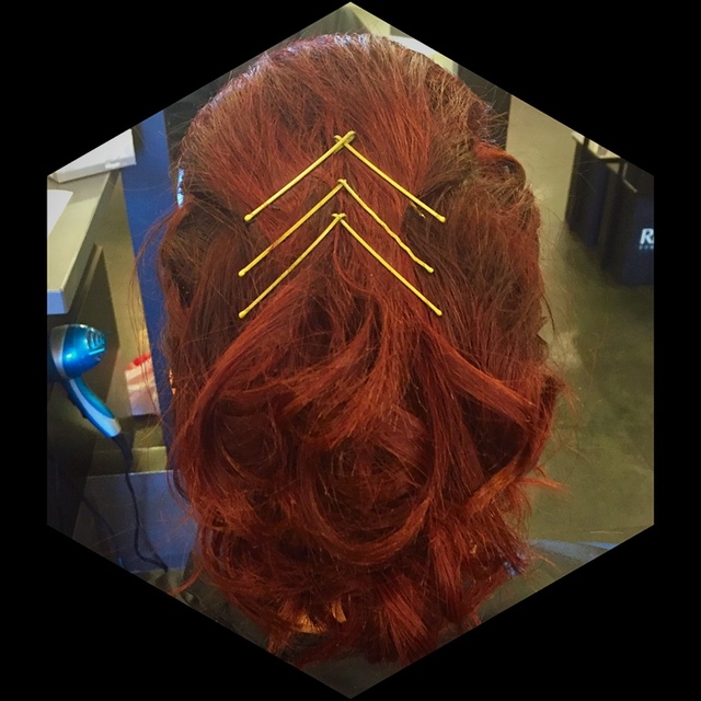 Up do  with Bobby pin design
