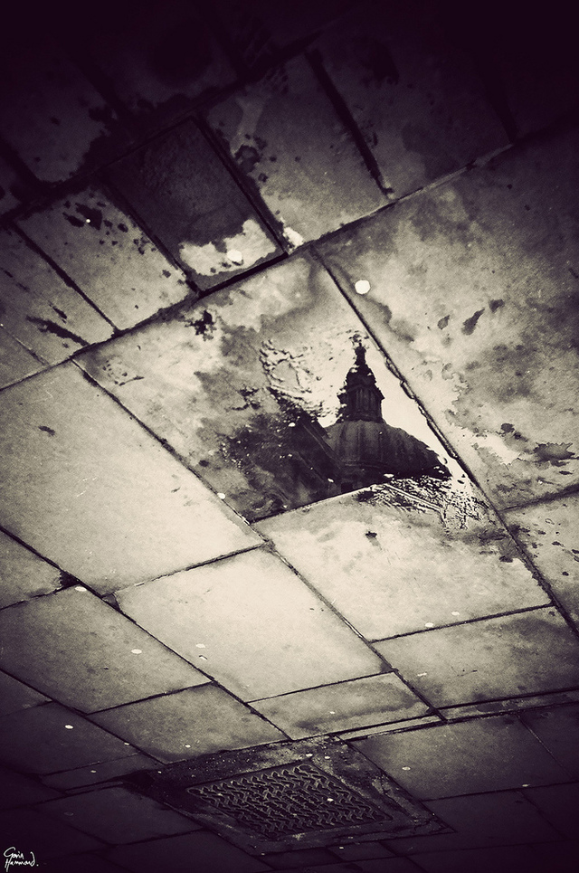 gavinhammondlondoninpuddles15