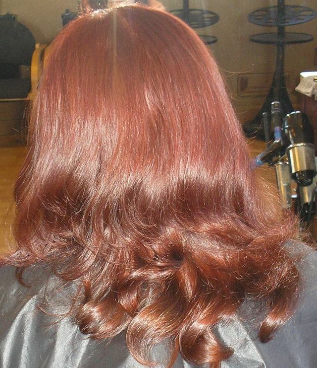 Fall in Red 