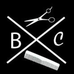 Re sized b943740d1c399d80bf32 bclogosmall