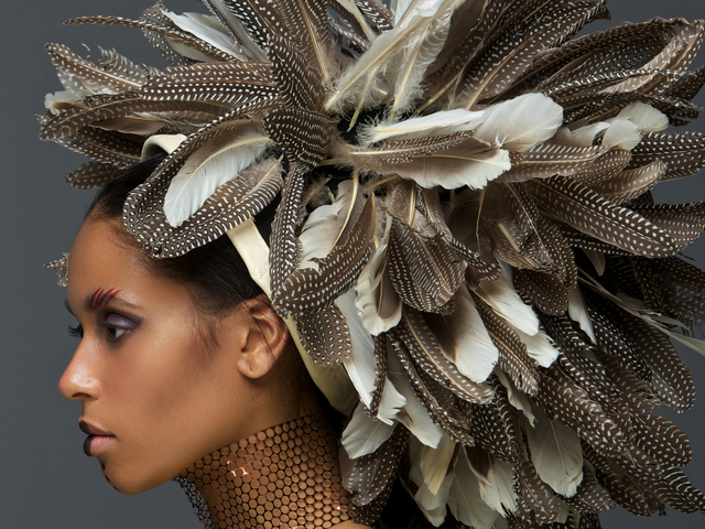 brids of a feather