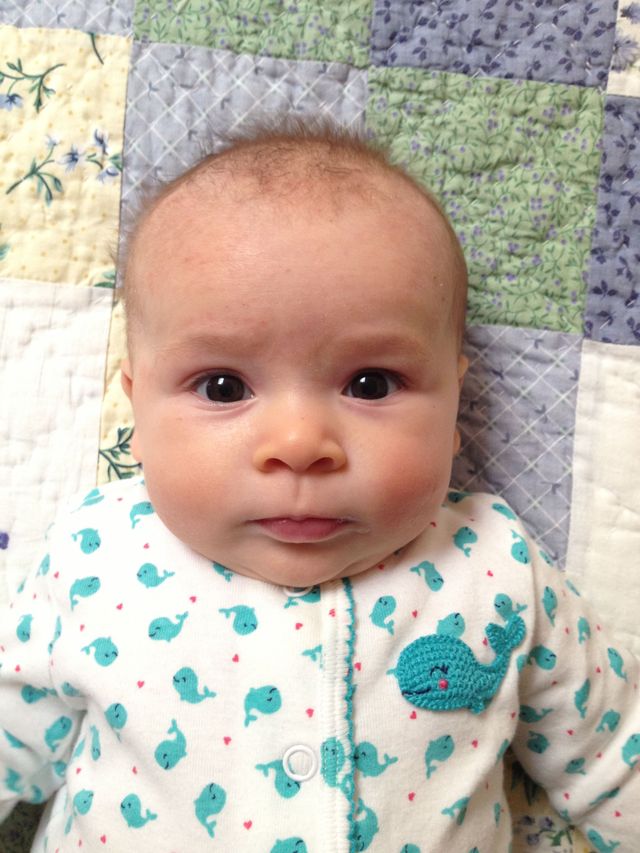 baby