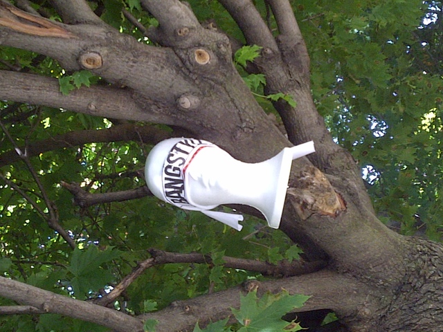 Bangstyle up in a Canadian Maple Leaf tree! Going to take a walk in the park.
