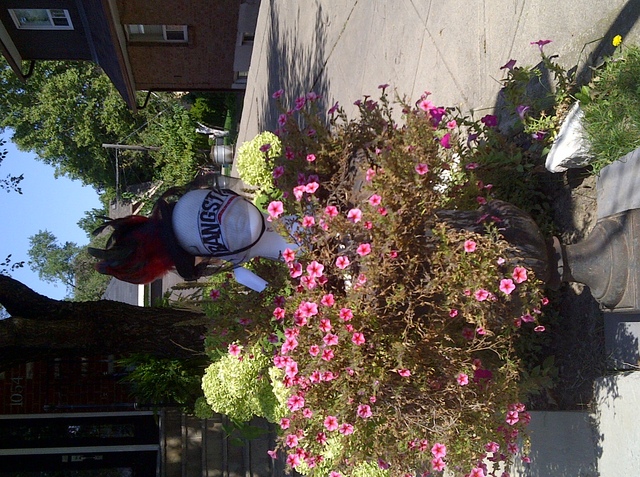 Smell the flowers!