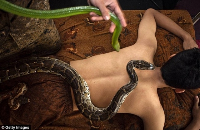 snake massage3