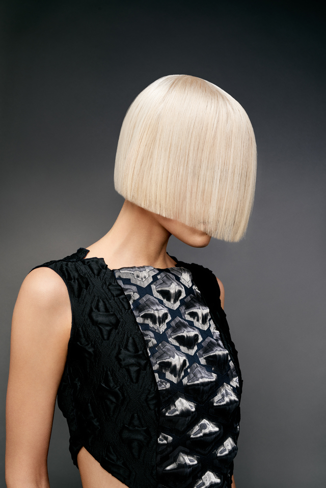 art of hair collection