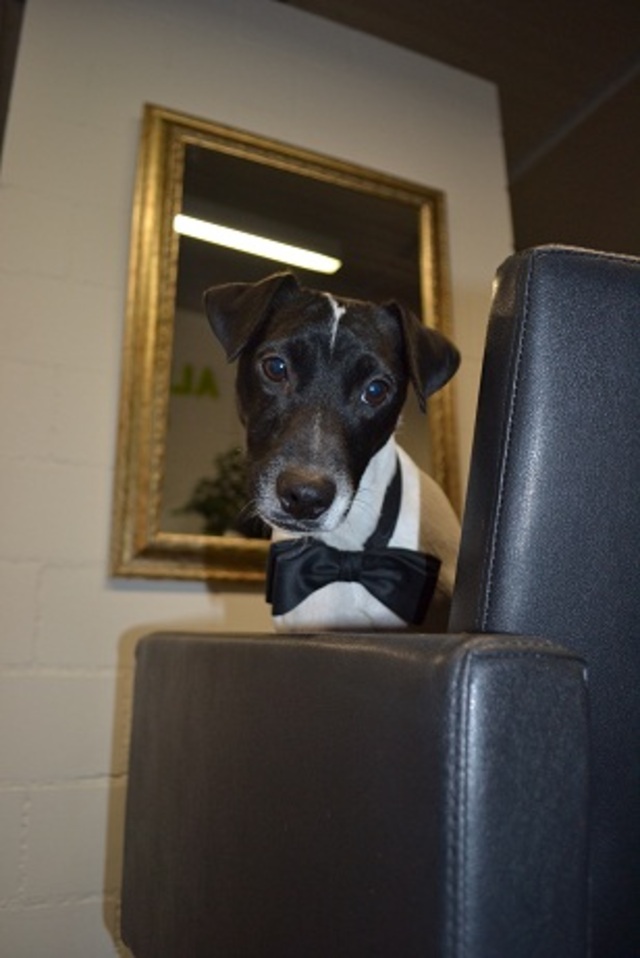 Team Member Max!