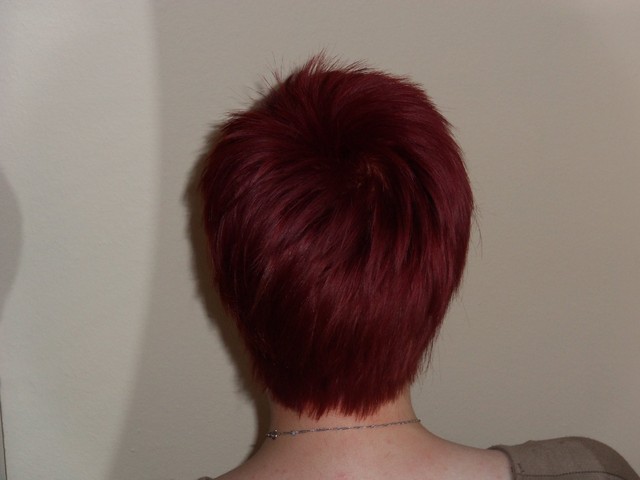 Anime Hair/J-Rocker