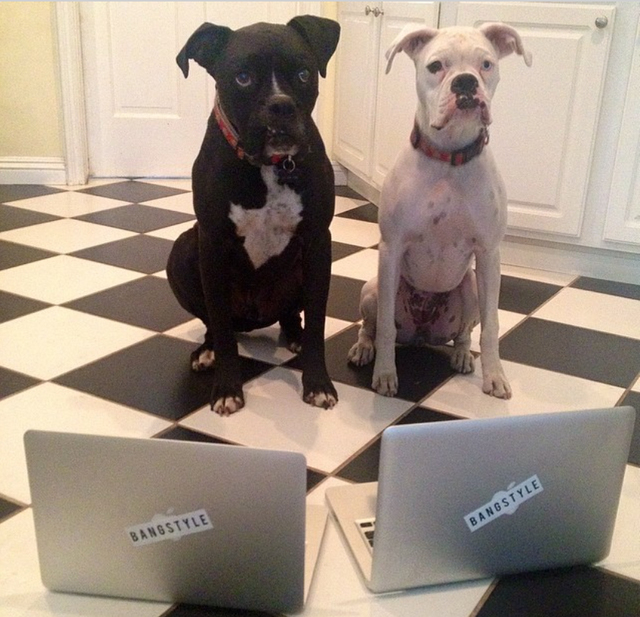 The Mascots hard at work