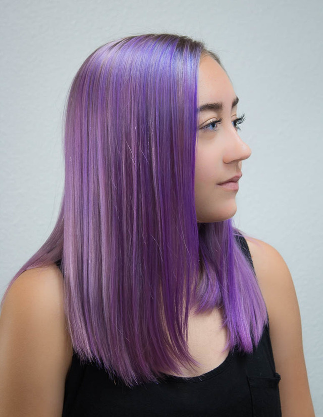 lavender dreams