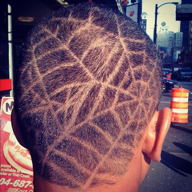 Spiderwebs on Julius