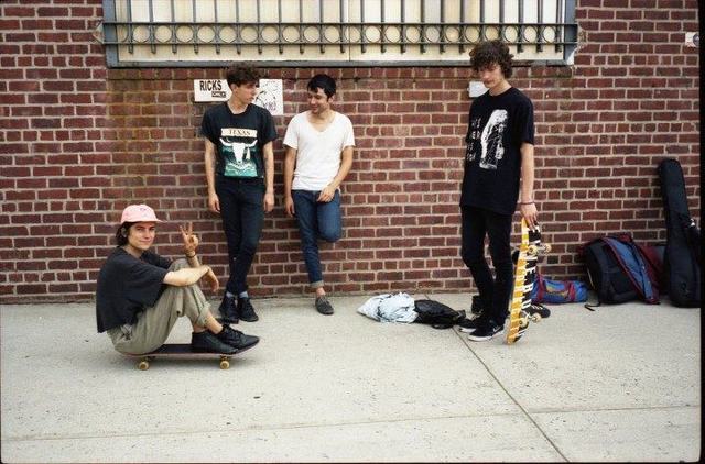 beach fossils