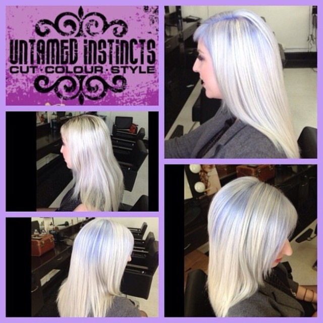 Lavender Blue Haute Root
