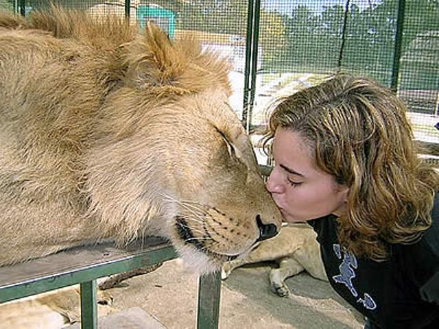 Zoo