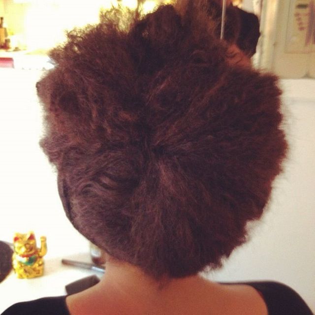 big donut-bun