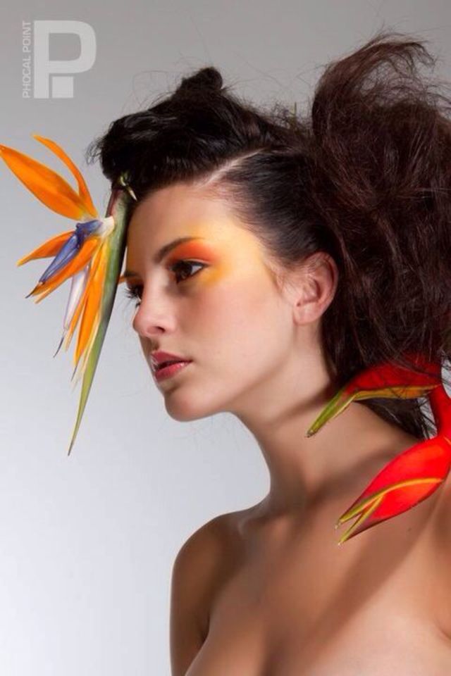 birds of paradise