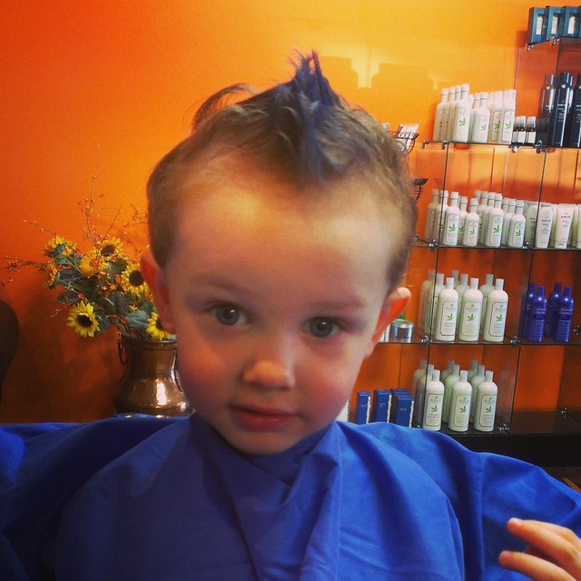 blue hawk