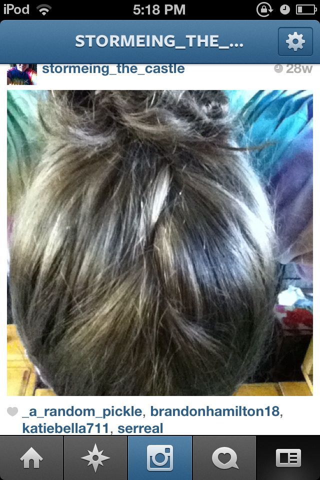 braid -> bun