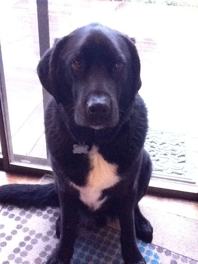 bubba