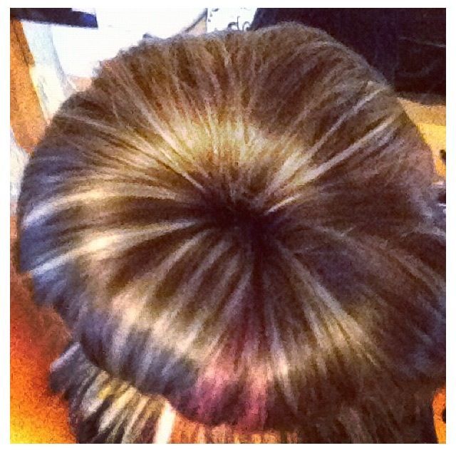 bun