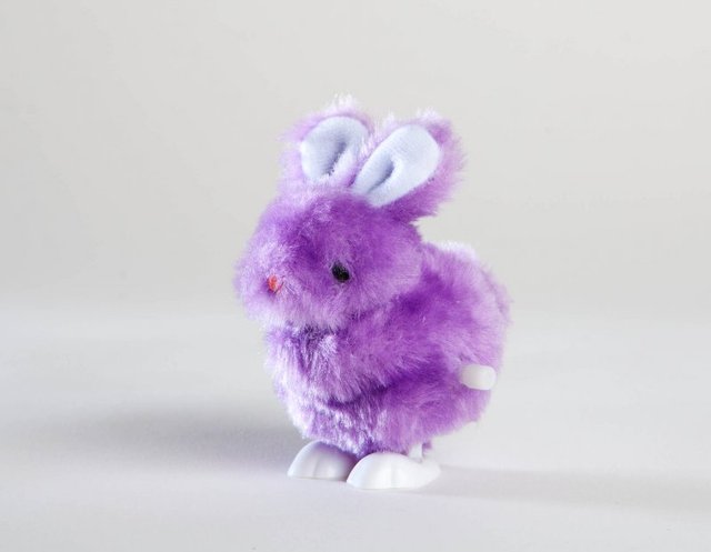bunny-cropped
