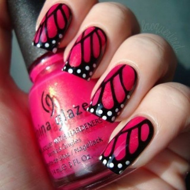 butterfly