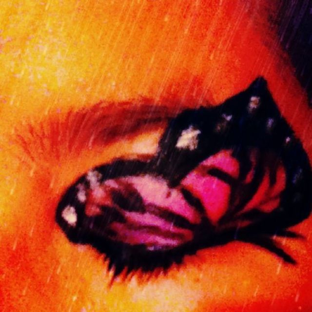 butterfly