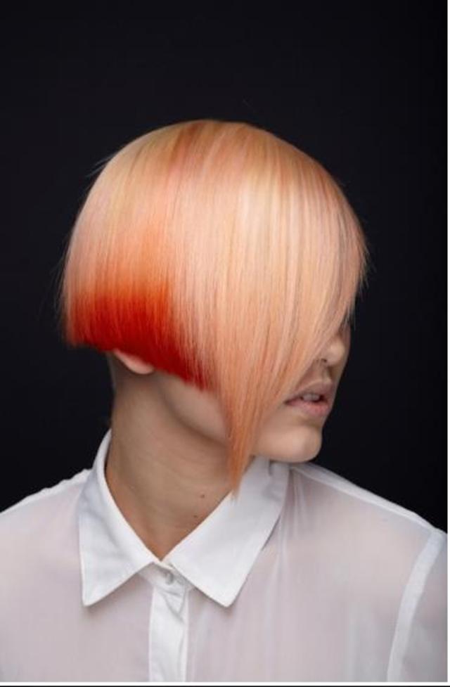 1ST PLACE IHS COLOUR CHALLENGE