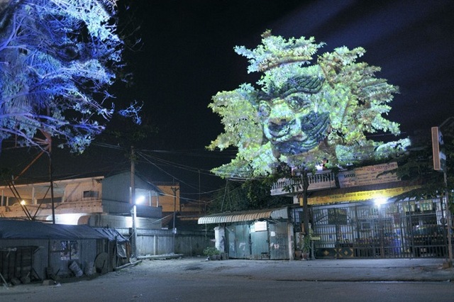 clementbriendcambodiantrees5