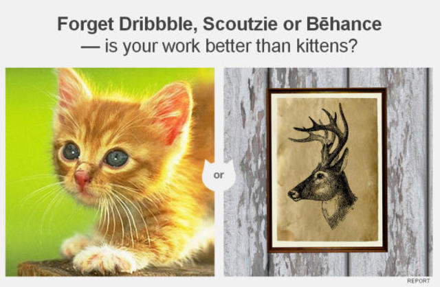 kittens_610x398
