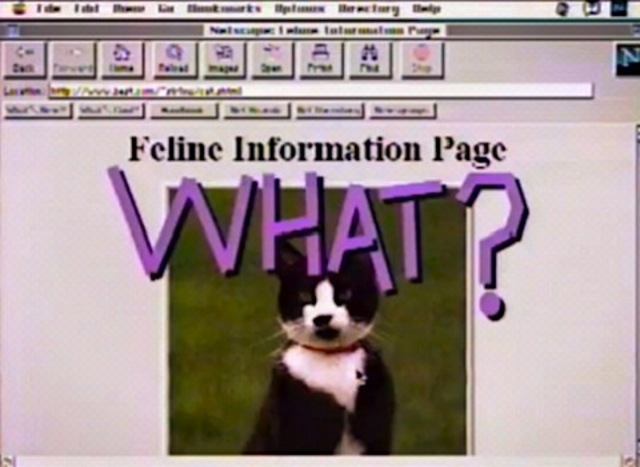 90s predict internet