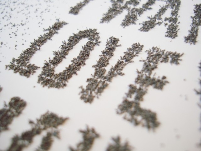 DSC05396-600x450-3