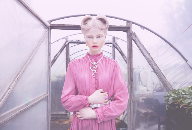 Photo by Anna Osk