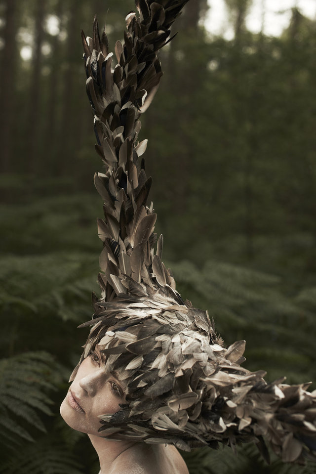rsz_fledgling_portrait
