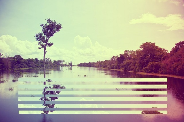 KEVIN.MURPHY COLOUR.BUG Competition