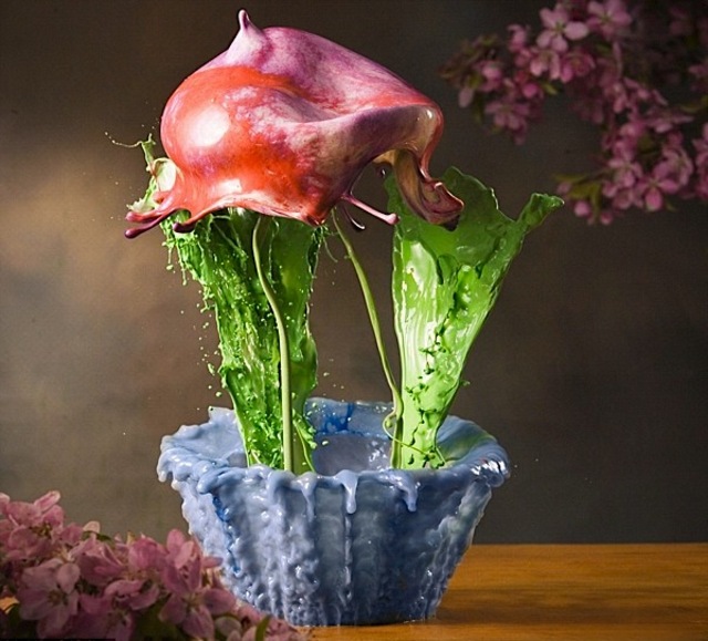 jacklongflowersplash