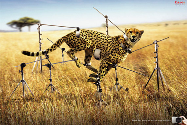 canon-cyber-shot-creative-unique-advertisements