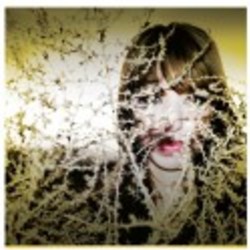 Re sized card%20proof ava